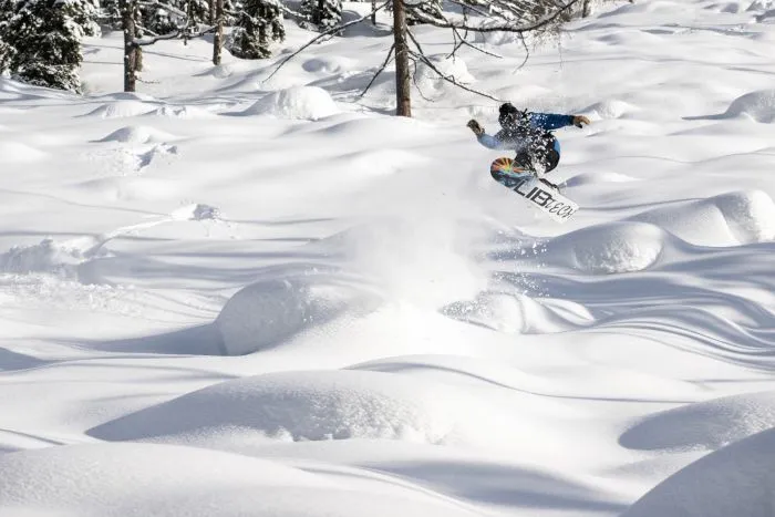 Lib Tech Dynamo Snowboard - Afbeelding 4